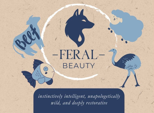 Feral beauty showcase of the animal and tallow based animals used to create the products.